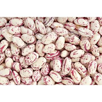 Hunza Organic Cranberry Beans (2 lbs)