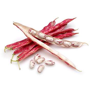 Hunza Organic Cranberry Beans (2 lbs)