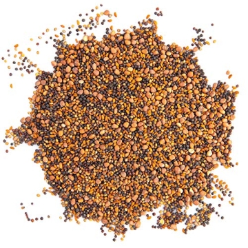 Super Spicy Microgreens Seed Mix for Flavorful Gardening