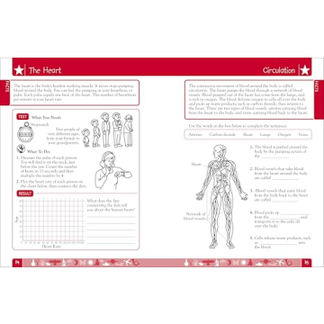 Engaging DK Workbooks Science for Third Graders