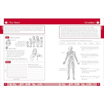 Engaging DK Workbooks Science for Third Graders