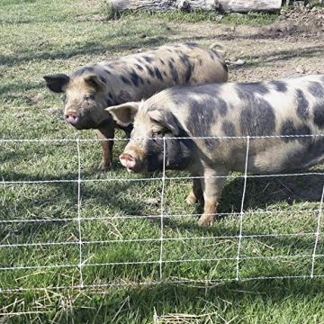 Premier 1 Pig QuikFence® Starter Kit - Complete Fence System