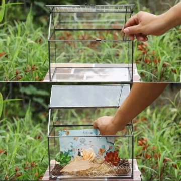 HighFree Geometric Terrarium Planter for Succulents and Cacti