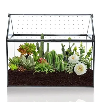 HighFree Geometric Terrarium Planter for Succulents and Cacti
