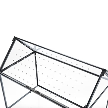 HighFree Geometric Terrarium Planter for Succulents and Cacti