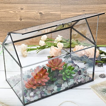 HighFree Geometric Terrarium Planter for Succulents and Cacti