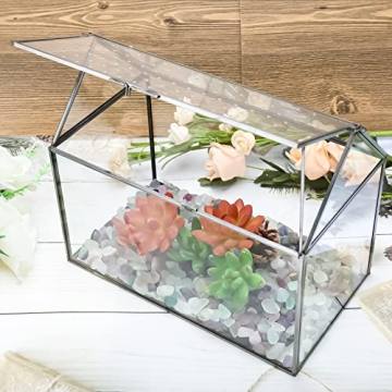 HighFree Geometric Terrarium Planter for Succulents and Cacti