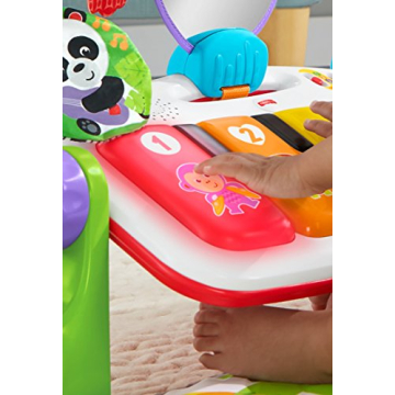 Fisher-Price Kick & Play Piano Gym for Babies