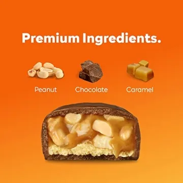 NICKS Protein Bars Chocolate Peanut 15g Protein Low Carb