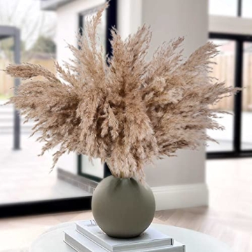HUMINBO Dried Pampas Grass Decor for Chic Home Aesthetic