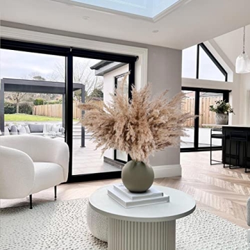 HUMINBO Dried Pampas Grass Decor for Chic Home Aesthetic