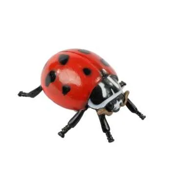Insect Lore Ladybug Life Cycle - 4 PC Insect Figure Shows Life Of Lady Bug