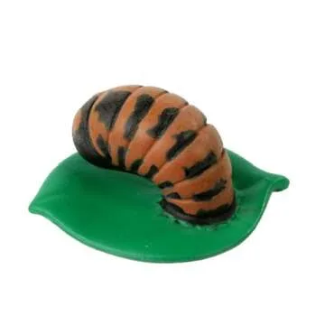 Insect Lore Ladybug Life Cycle - 4 PC Insect Figure Shows Life Of Lady Bug