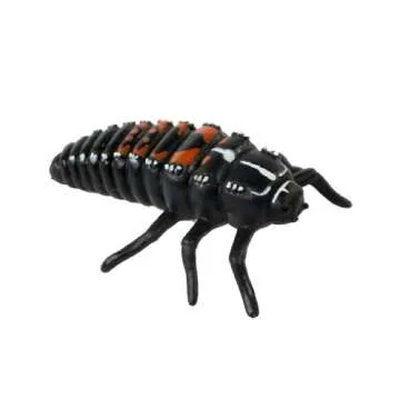 Insect Lore Ladybug Life Cycle - 4 PC Insect Figure Shows Life Of Lady Bug