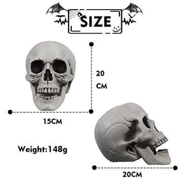 MOKRY PARTY Life Size Skeleton Skull for Halloween Decor Graveyard Outdoor White