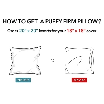 Oubonun 20x20 Throw Pillow Inserts - Set of 2 Comfort