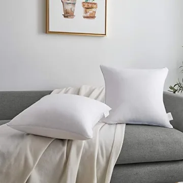 Oubonun 20x20 Throw Pillow Inserts - Set of 2 Comfort