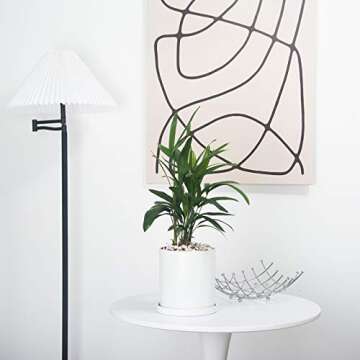 EtooCafe Planters for Indoor Plants Ceramic Flower Succulent Plant Pots with Drain Hole Saucer Decor...