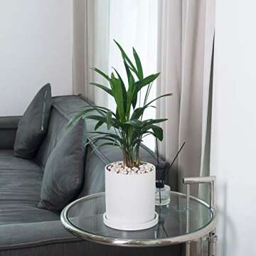 EtooCafe Planters for Indoor Plants Ceramic Flower Succulent Plant Pots with Drain Hole Saucer Decor for Home Office (4 inch White)