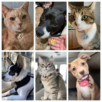 Customizable MYXGY Stainless Steel Pet ID Tags for Pets