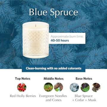 AGRARIA Scented Candles - Premium Soy Wax Candles for Home