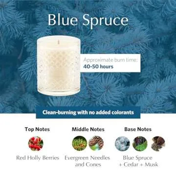 AGRARIA Scented Candles - Premium Soy Wax Candles for Home