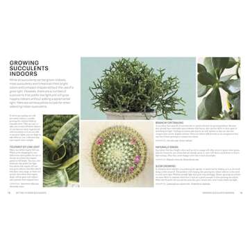 Succulents: Everything You Need to Select, Pair and Care for Succulents (Green Thumb Guides)