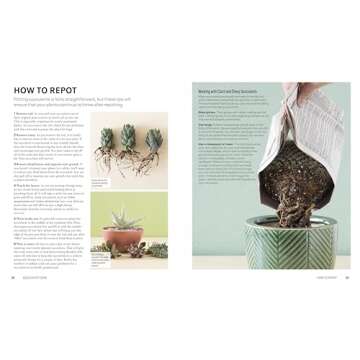 Succulents: Everything You Need to Select, Pair and Care for Succulents (Green Thumb Guides)