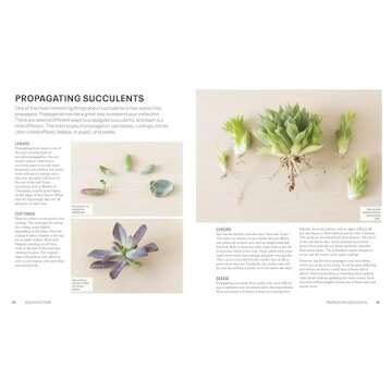 Succulents: Everything You Need to Select, Pair and Care for Succulents (Green Thumb Guides)