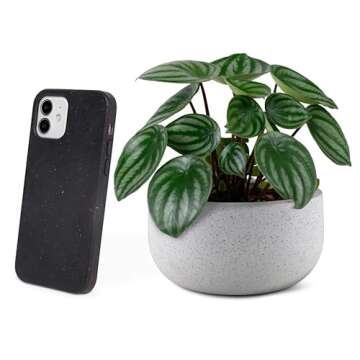Eco-Friendly ICU Designs iPhone 12 Case - Compostable & Plant Based