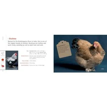 Poultry Breeds Pocket Guide: Essential 104 Breeds