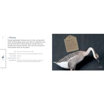 Poultry Breeds Pocket Guide: Essential 104 Breeds