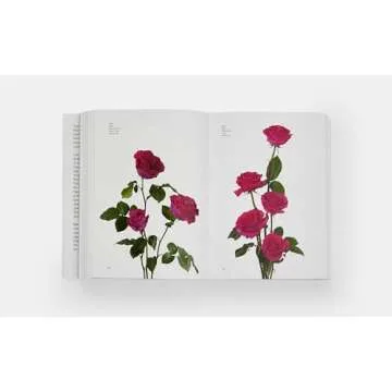 Flower Colour Guide for Florists and Floral Designers