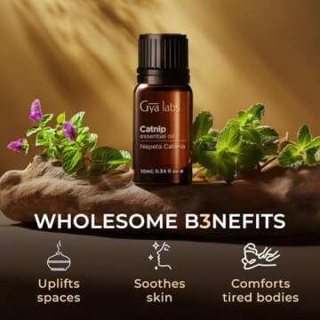 Gya Labs Catnip Essential Oil for Skin - 0.34 Fl Oz - 100% Pure Natural Catnip Oil for Diffuser, Candle Making Massage & DIY - Floral Herbaceous Scent