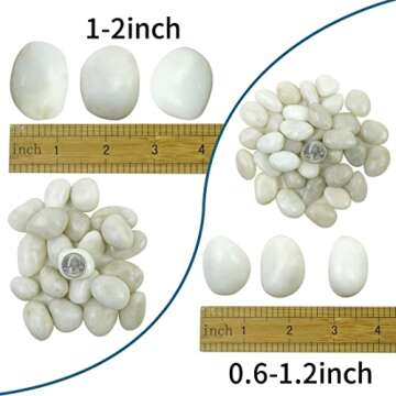 SHIZWU 5LB Polished White River Rocks for Plants,1-2 Inch Polished Pebbles for Garden Decoration Sto...