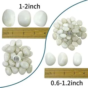 SHIZWU 5LB Polished White River Rocks for Plants,1-2 Inch Polished Pebbles for Garden Decoration Sto...