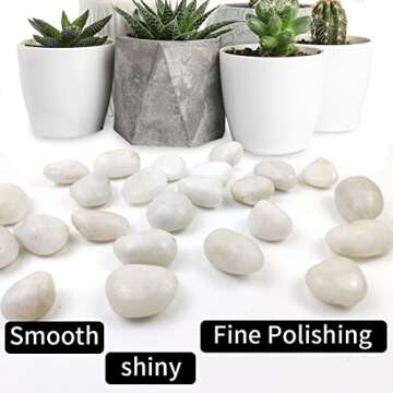 SHIZWU 5LB Polished White River Rocks for Plants,1-2 Inch Polished Pebbles for Garden Decoration Stones for Landscaping Aquarium Fish Tank Succulents