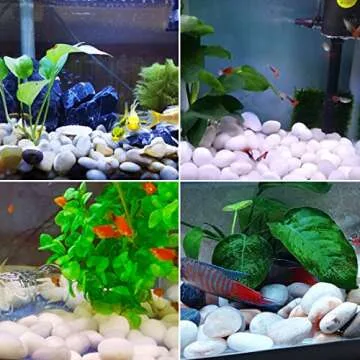 SHIZWU 5LB Polished White River Rocks for Plants,1-2 Inch Polished Pebbles for Garden Decoration Stones for Landscaping Aquarium Fish Tank Succulents