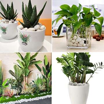 SHIZWU 5LB Polished White River Rocks for Plants,1-2 Inch Polished Pebbles for Garden Decoration Stones for Landscaping Aquarium Fish Tank Succulents