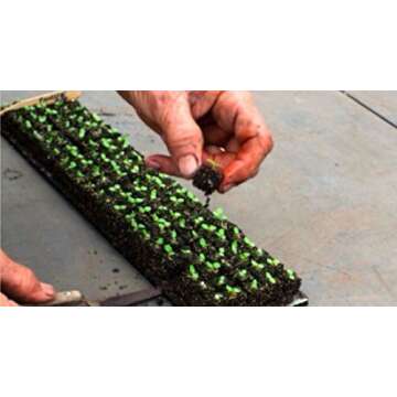 Authentic Ladbrooke Soil Block Maker Micro 20 Hand Held, Made in England