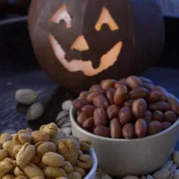 FERIDIES Redskin Virginia Peanuts - 9 Ounce Gourmet Cans