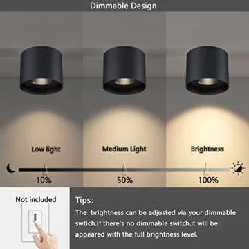 ilucezzo Flush Mount Ceiling Light, 20W LED Dimmable 5.9" Cylinder Ceiling Light, Aluminum Rustic Ceiling Light Black Ceiling Spotlight for Foyer Closet Kitchen Hallway Entryway 3000K Warm White