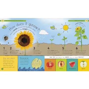 My Encyclopedia of Very Important Things: For Little Learners Who Want to Know Everything (My Very Important Encyclopedias)