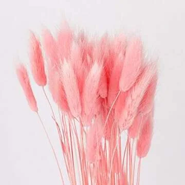 Lagurus Ovatus Rabbit Tail Dried Flowers for Home Decor