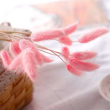 Lagurus Ovatus Rabbit Tail Dried Flowers for Home Decor