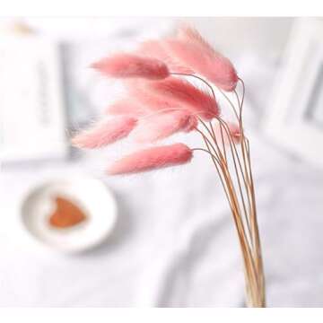 Lagurus Ovatus Rabbit Tail Dried Flowers for Home Decor