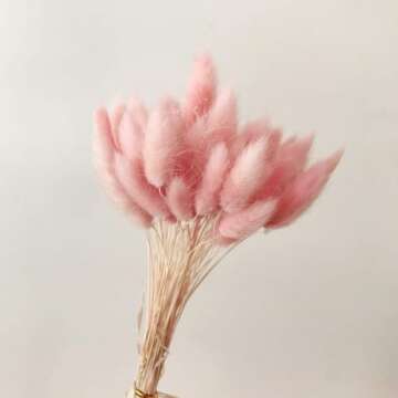 Lagurus Ovatus Rabbit Tail Dried Flowers for Home Decor