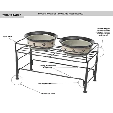 PetRageous Elevated Dog Feeder – Stylish & Healthy Eating