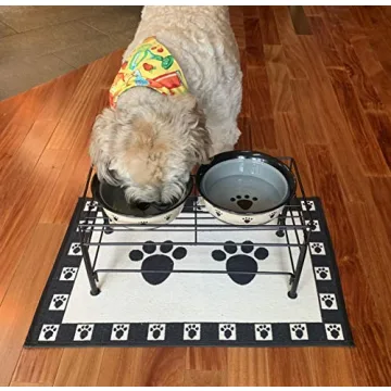 PetRageous Elevated Dog Feeder – Stylish & Healthy Eating