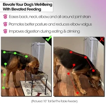 PetRageous Elevated Dog Feeder – Stylish & Healthy Eating